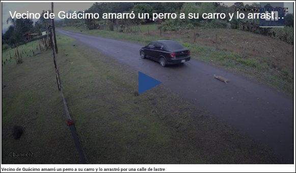 HOMBRE - PERRO